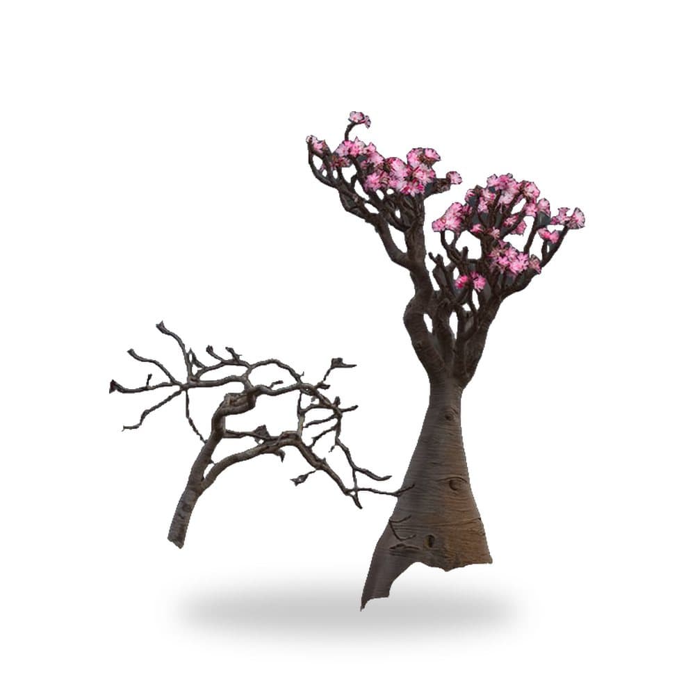 Desert Rose