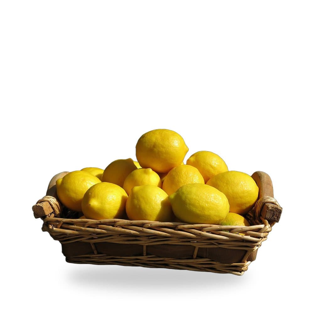 Meyer Lemon Tree