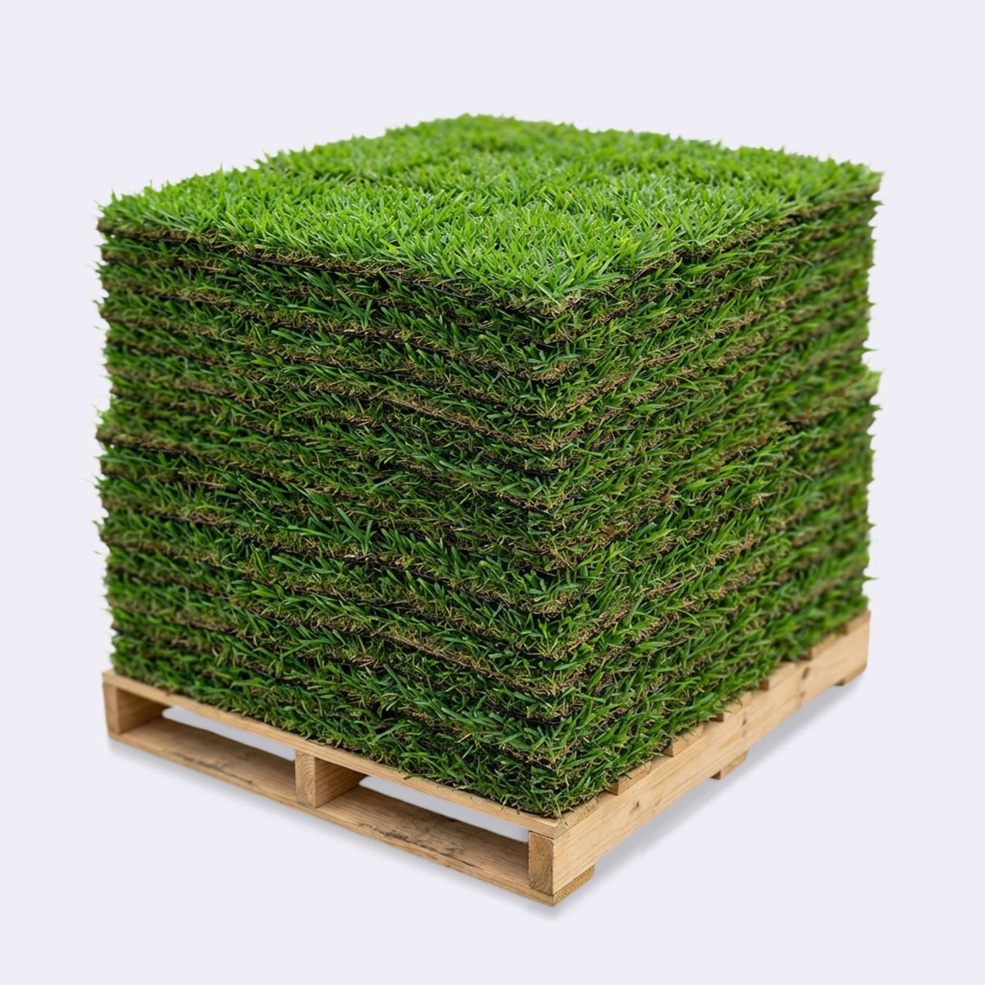 Bahia Sod